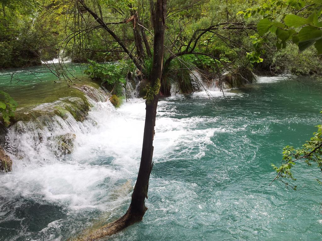 Guest House Family Varda Plitvice Lakes Plitvicka Jezera Bagian luar foto